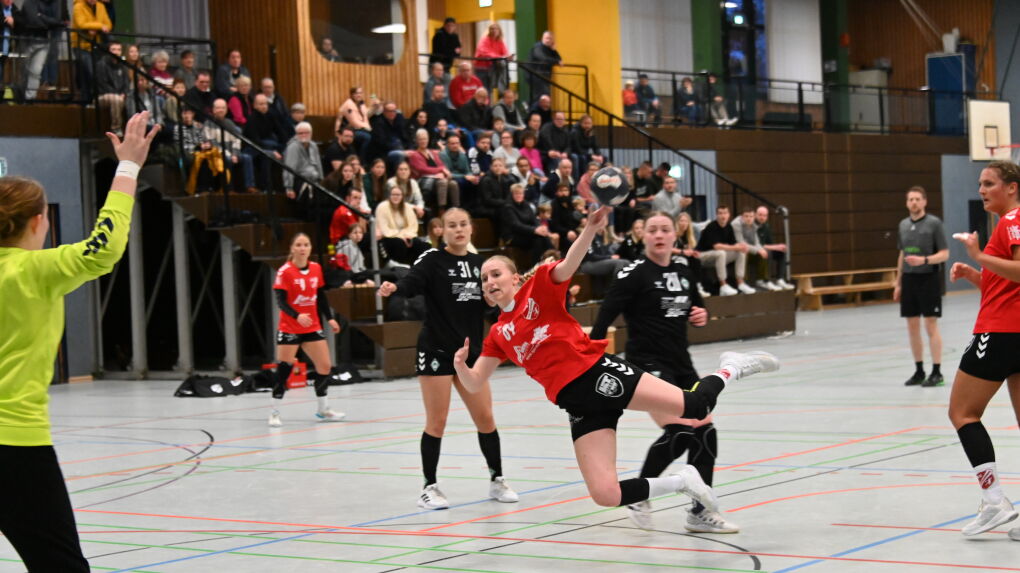 Hude Werder2